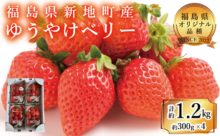 福島県産いちご ゆうやけベリー 約1.2kg (300g×4パック) フルーツ いちご 苺 佐藤正義いちご農園 厳選 福島県 オリジナル ブランド品種 クール便 新鮮 朝摘み 収穫当日発送 福島県 新地町 くだもの デザート 贈答