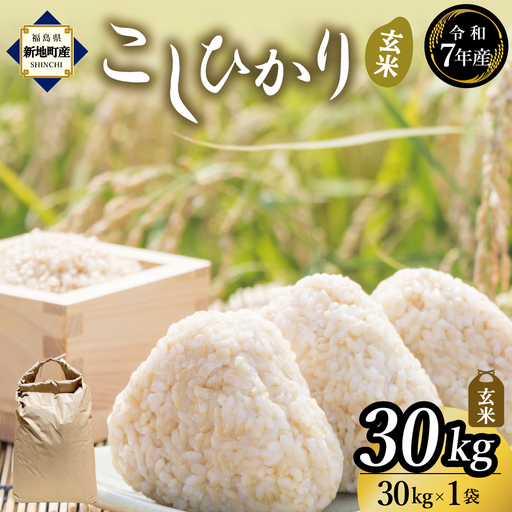 新地産こしひかり玄米30kg｜コシヒカリ お米 2025年産 おこめ ライス  R7 ご飯 ごはん 数量限定 げんまい ブランド米 令和7年度産 お徳用 つやつや もちもち 新地町