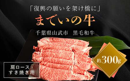 y300gE[XEĂpzRu܂ł̋v ITTAK008