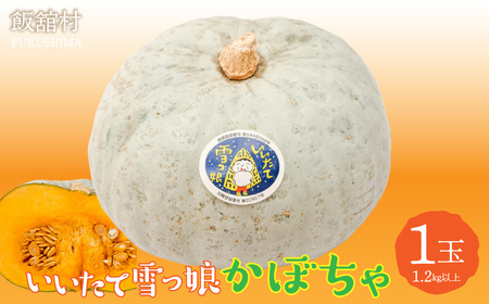 [数量限定・11月頃お届け]飯舘村名物 「いいたて雪っ娘」かぼちゃ(1玉1.2kg以上) IT
