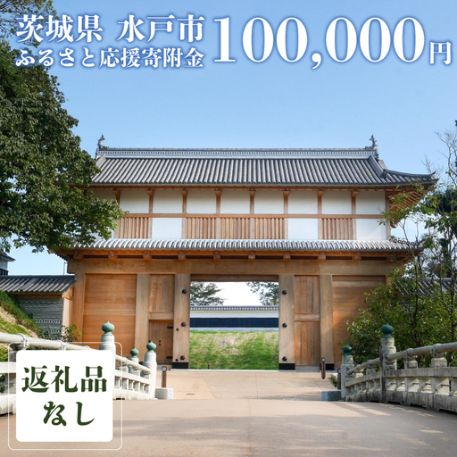 【返礼品なし】 茨城県 水戸市 ふるさと応援寄附金 ( 100,000円 )(GT-6)