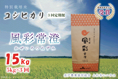 [3ヶ月定期便][令和5年産]特別栽培米コシヒカリ「風彩常澄」計15kg(5kg×3回)