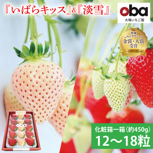 y12{菇zyʌz錧IWiiw΂LbXxƊ󏭂ȃv~AC`SwWxgϔꔠi12`18jy  t[c ʕ  