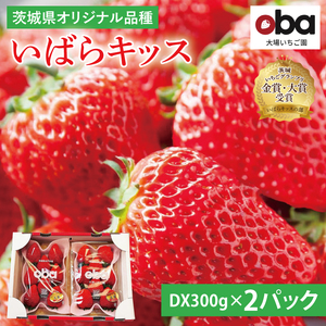 [12月中旬より順次発送][数量限定]茨城県オリジナル品種『いばらキッス』DX300g×2パック[いちご 苺 フルーツ 果物 くだもの 水戸市 茨城県](DO-3)