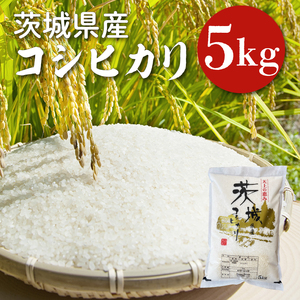 [令和6年産]茨城県産コシヒカリ 5kg [お米 ごはん こしひかり 老舗 米屋 おにぎり ごはん 茨城県 水戸市 5キロ](HQ-91)