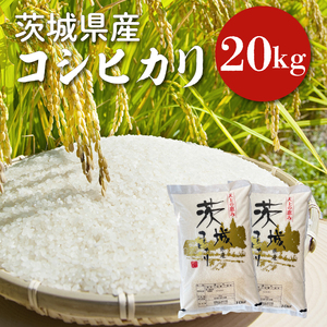 [令和6年産]茨城県産コシヒカリ 20kg [お米 ごはん こしひかり 老舗 米屋 おにぎり ごはん 茨城県 水戸市 20キロ](HQ-93)