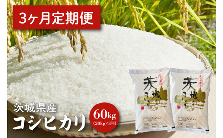 [令和6年産][3ヵ月定期便]茨城県産コシヒカリ 20kg×3 [定期便 お米 ごはん こしひかり 老舗 米屋 おにぎり ごはん 茨城県 水戸市 60キロ](HQ-56)