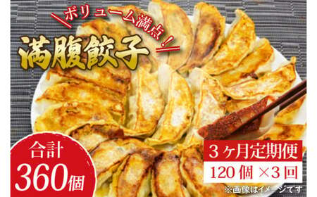 [3ヶ月定期便]ボリューム満点!満腹餃子120個(3kg )×3回[老舗 大容量 国産 焼き餃子 冷凍 ぎょうざ ギョーザ 冷凍餃子 簡単調理 惣菜 おかず 水戸市 水戸 茨城県 30000円以内 3万円以内](EJ-4)