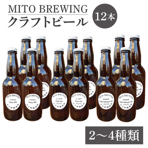 第１回水戸さきがけビジネス大賞 優秀賞受賞！【ぬりや】クラフトビール12本詰め合わせ【お酒 クラフトビール ビール ふるさと納税 水戸市 茨城県】（GW-2）