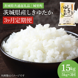 yʌzy3ցzyߘa7NxY Vāz錧Y䂽@v15kgi錧ʕԗi/闢jiIH-1082j