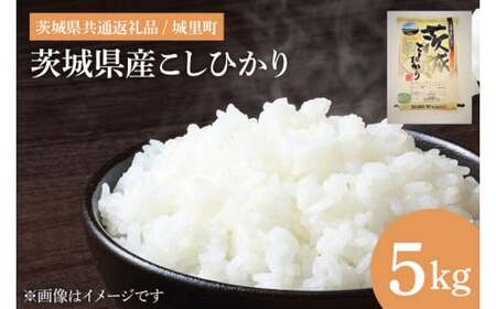 [令和6年度産 新米]茨城県産こしひかり 5kg (茨城県共通返礼品/城里町)[お米 ごはん こしひかり おいしい 白米 茨城県産 水戸市](IH-3049)