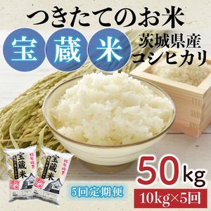 y5ցzyߘa7NYz錧YRVqJ 󑠕 10kg×5y  er Ђ Ă̂ HLOA] 錧 ˎsziCZ-712j