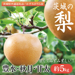 [ふるさと納税][8月下旬より発送][数量限定]茨城県 千代田の梨(豊水・秋月・甘太いずれか)約5kg[茨城県共通返礼品/かすみがうら市][梨 なし 果物 くだもの フルーツ 豊水 秋月 おまかせ 濃厚 甘い かすみがうら市 共通返礼品 水戸市](IV-1)