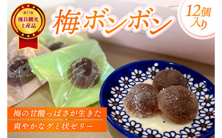 梅の甘酸っぱさが生きた爽やかなグミ状ゼリーの健康菓子「梅ボンボン」★水戸市優良観光土産品認定商品★[グミ ぐみ ゼリー ハードゼリー 梅 うめ ウメ お菓子 健康 お土産 観光 水戸市 茨城県](JL-2)