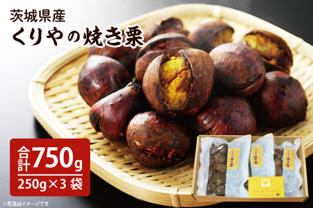 [先行予約][11月より順次発送]茨城県産 くりやの焼き栗 250g×3袋[くり 栗 焼き栗 秋 茨城県産 果物 果樹 栗ご飯 水戸市](AO-1)