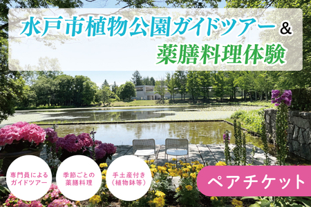 [数量限定]水戸市植物公園ガイドツアー&薬膳料理体験(ペアチケット)[花 グリーン 癒し 薬膳 漢方 薬膳料理 カレー 薬膳カレー 体験ツアー お土産付き ガイドツアー ガイド 水戸市 茨城県](KD-1)