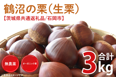 【先行予約】【2025年9月中旬より順次発送】石岡市鶴沼の栗（生栗）3kg（茨城県共通返礼品/石岡市）【くり 栗 農薬不使用 オーガニック オーガニッ栗 珍しい 希少 秋 茨城県産 果物 果樹 栗ご飯 水戸市】（KN-6）