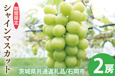 y2025N9ȍ~zys\zVC}XJbgQ[y錧ʕԗi/Ήszy_ƒ ʕ  Â x lC t[c  Ԃǂ uhE }XJbg Ȃ _