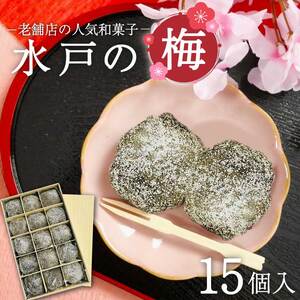 [木村屋本店]水戸銘菓 水戸の梅 15個入り 160年以上愛される老舗和菓子店[和菓子 お菓子 スイーツ デザート あんこ こし餡 求肥 お土産 老舗 水戸市 茨城県 ](JR-1)