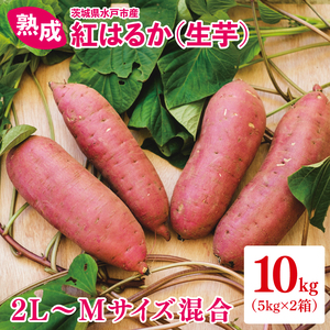 【12月より順次発送】熟成 紅はるか（生芋）2L～Mサイズ混合10kg【いも サツマイモ さつまいも 焼き芋 スイートポテト ふるさと納税 水戸市 水戸 茨城県 15000円以内】（IN-2)
