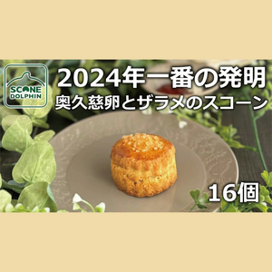 今年一番の発明 久慈卵とザラメのスコーン 16個[奥久慈卵 冷凍 冷凍スコーン 本場 イギリス 焼き菓子 スイーツ 水戸市 水戸 茨城県 20000円以内 2万円以内](AR-8)