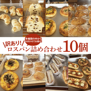 [訳あり]ロスパン詰め合わせ(10個)[総菜パン 菓子パン 食事パン おまかせ 冷凍 水戸市 水戸 10000円以内 1万円 あんぱん メロンパン]( LV-1)