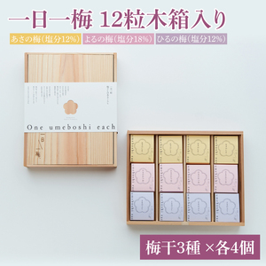 [数量限定]一日一梅 12粒木箱入り(梅干3種 ×各4個)[梅干 梅干し うめぼし 水戸市 茨城県](CU-3)