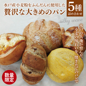 [数量限定]水戸産小麦粉をふんだんに使用した贅沢な大きめのパン5種詰め合わせ[総菜パン 菓子パン 食事パン冷凍 水戸市 茨城県]( LS-1)