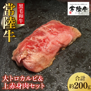 [数量限定]常陸牛 大トロカルビ100g・上赤身肉100g[牛肉 和牛 ブランド牛 常陸牛 パーティ BBQ バーベキュー 水戸市 茨城県](MJ-1)