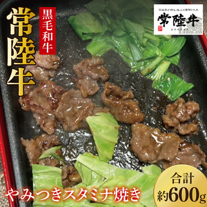 [数量限定]イチオシ!!常陸牛やみつきスタミナ焼600g[牛肉 和牛 ブランド牛 常陸牛 パーティ BBQ バーベキュー 水戸市 茨城県](MJ-2)