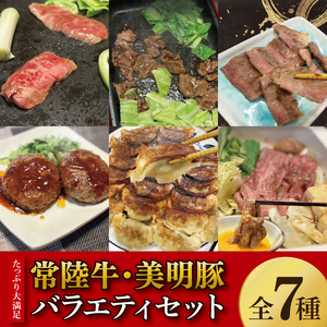 [数量限定]たっぷり大満足!牛肉&豚肉バラエティセット[常陸牛 美明豚 黒毛和牛 牛肉 ブランド豚 ジューシー パーティー 茨城県 水戸市](MJ-8)