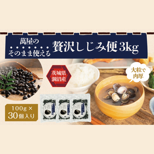 涸沼産冷凍しじみ中粒３kg（100g×30p）【シジミ 中粒しじみ 産地直送 砂抜き済み 砂抜き 小分け包装 味噌汁 みそ汁 茨城県】（CA-14）