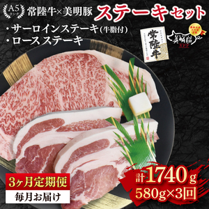 [3ヶ月定期便][常陸牛 A5ランク・美明豚ステーキセット]常陸牛サーロインステーキ300g+美明豚ロース280g(140g×2枚) 冷凍 国産牛 和牛 牛肉 豚肉 ブランド豚 茨城県 水戸市 食べ比べ セット商品 国産 老舗精肉店 (EK-19_1)