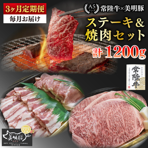 [3ヶ月定期便][常陸牛 A5ランク・美明豚ステーキ焼肉セット]常陸牛サーロイン200g+美明豚200g(ロース100g・ばら100g)[冷凍 国産牛 和牛 牛肉 豚肉 ブランド 茨城県 水戸市 食べ比べ セット商品 国産 BBQ](EK-34_1)