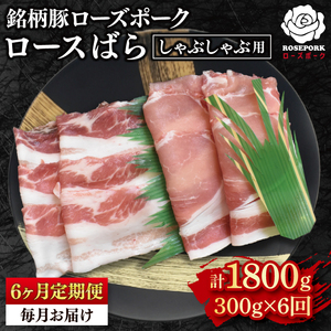 y6ցzy[Y|[NzԂԗp300gi[X150gE΂150gj Ⓚ  ؓ uh 錧 ˎs Hה Zbgi Yiy3ցzy[Y|[NzԂ