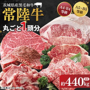 [茨城県共通返礼品]常陸牛 丸ごと1頭分 約440kg[肉 お肉 牛肉 贈答 別送対応 最高級 希少部位 A5ランク 黒毛和牛 カット済み 高品質](BG-30)