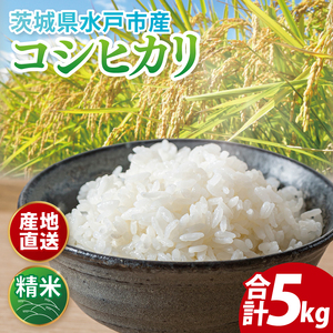 [数量限定][令和6年度産]茨城県産コシヒカリ 5kg[米 おこめ こしひかり 農家直送 直送 水戸市 茨城県](ND-1)