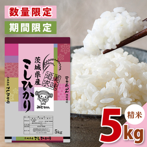 [10月より順次発送][数量限定][令和7年産新米]美味追求 茨城県産こしひかり 5キロ 精米[お米 ごはん こしひかり おにぎり 茨城県 水戸市](NA-1)