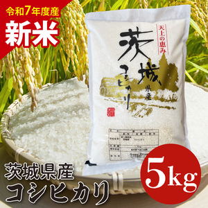 [数量限定][10月より順次発送][令和7年産 新米]茨城県産コシヒカリ 5kg [お米 ごはん こしひかり 老舗 米屋 おにぎり ごはん 茨城県 水戸市 5キロ](HQ-101)