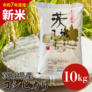 [数量限定][10月より順次発送][令和7年産 新米]茨城県産コシヒカリ 10kg [お米 ごはん こしひかり 老舗 米屋 おにぎり ごはん 茨城県 水戸市 10キロ](HQ-102)