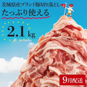 y9zyʌzs[^[oI錧Yuhؐ؂藎Ƃ2.1kg (300g×7p)y ؓ ؂藎Ƃ  ^ ^pbN 錧Y  [X Ef  o ˎs ˁz