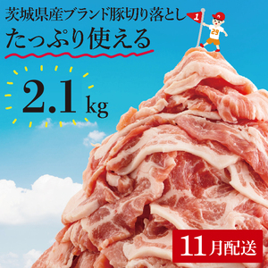 y11zyʌzs[^[oI錧Yuhؐ؂藎Ƃ2.1kg (300g×7p)y ؓ ؂藎Ƃ  ^ ^pbN 錧Y  [X Ef  o ˎs 