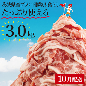 y10zyʌzs[^[oI錧Yuhؐ؂藎Ƃ3kg (300g×10p)y ؓ ؂藎Ƃ  ^ ^pbN 錧Y  [X Ef  o ˎs ˁz