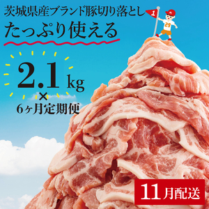 y116ցzyʌzs[^[oI錧Y؃uh؂藎Ƃv12.6kg(2.1kg×6)y ؓ ؂藎Ƃ  ^ ^pbN 錧Y  [X Ef  o