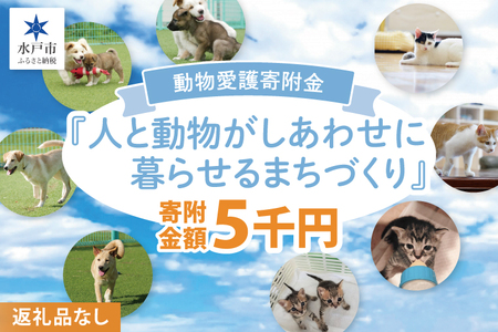 [返礼品なし]水戸市 動物愛護寄附金『人と動物がしあわせに暮らせるまちづくり』5000円[動物愛護 愛護活動 保護 犬 猫 いぬ ねこ イヌ ネコ 動物 ペット 応援 支援 水戸市どうぶつ愛護センター 茨城県](LW-8)
