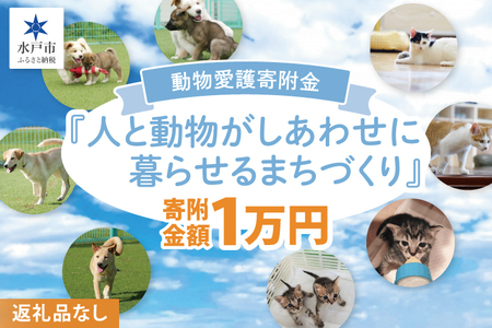 [返礼品なし]水戸市 動物愛護寄附金『人と動物がしあわせに暮らせるまちづくり』10000円[動物愛護 愛護活動 保護 犬 猫 いぬ ねこ イヌ ネコ 動物 ペット 応援 支援 水戸市どうぶつ愛護センター 茨城県](LW-9)