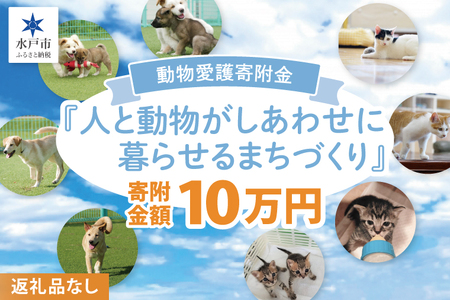 [返礼品なし]水戸市 動物愛護寄附金『人と動物がしあわせに暮らせるまちづくり』100000円[動物愛護 愛護活動 保護 犬 猫 いぬ ねこ イヌ ネコ 動物 ペット 応援 支援 水戸市どうぶつ愛護センター 茨城県](LW-12)