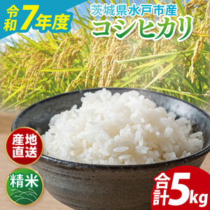 y10菇zyʌzyߘa7NxYz錧YRVqJ 5kgy  Ђ _ƒ  ˎs 錧z(ND-3)