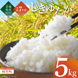 yʌzyߘa7NxY Vāz錧Y䂽5kgi錧ʕԗi/闢jy ͂ Ђ   錧Y ˎsziIH-95j