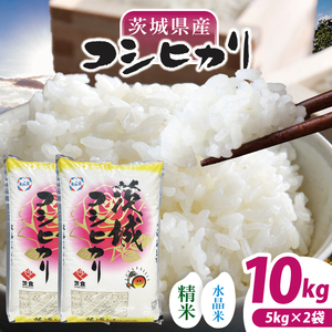 [数量限定][令和7年産]茨城県産コシヒカリ 10kg(5kg×2袋) [お米 ごはん こしひかり おにぎり ごはん 茨城県 水戸市](NQ-2)